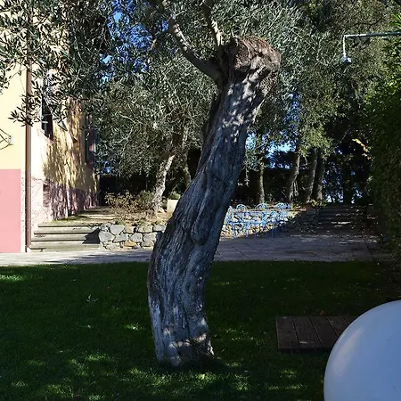 Sangiovese, Casa Con Piscina Tra Vigne E Tartufi San Miniato