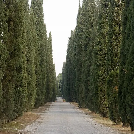 Sangiovese, Casa Con Piscina Tra Vigne E Tartufi San Miniato