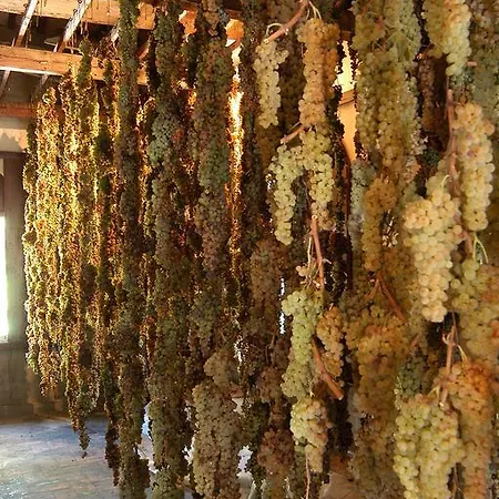 Sangiovese, Casa Con Piscina Tra Vigne E Tartufi Casa vacanze *