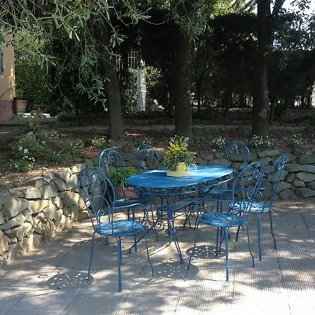 Sangiovese, Casa Con Piscina Tra Vigne E Tartufi Casa vacanze San Miniato