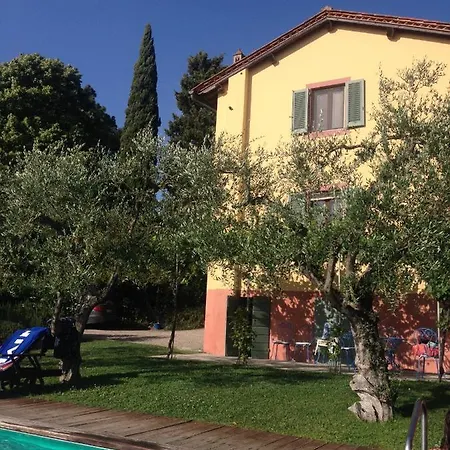 Sangiovese, Casa Con Piscina Tra Vigne E Tartufi San Miniato